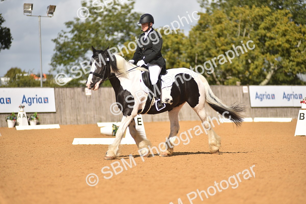 SBM_03388 - D4 - Small Tour Championship Intro 4