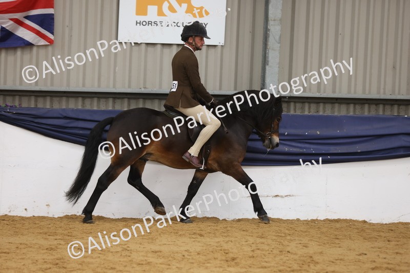 20260913-0612 - Class 126 - Novice Ridden