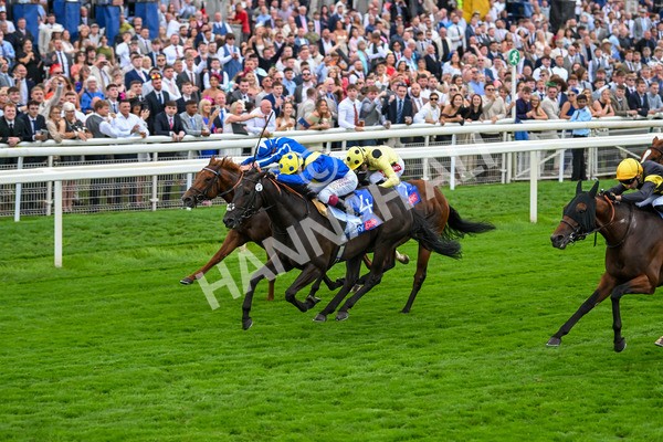 230825-Race 3-Never So Brave-0088 - Race 3 3.00pm Sky Bet City Of York Stakes