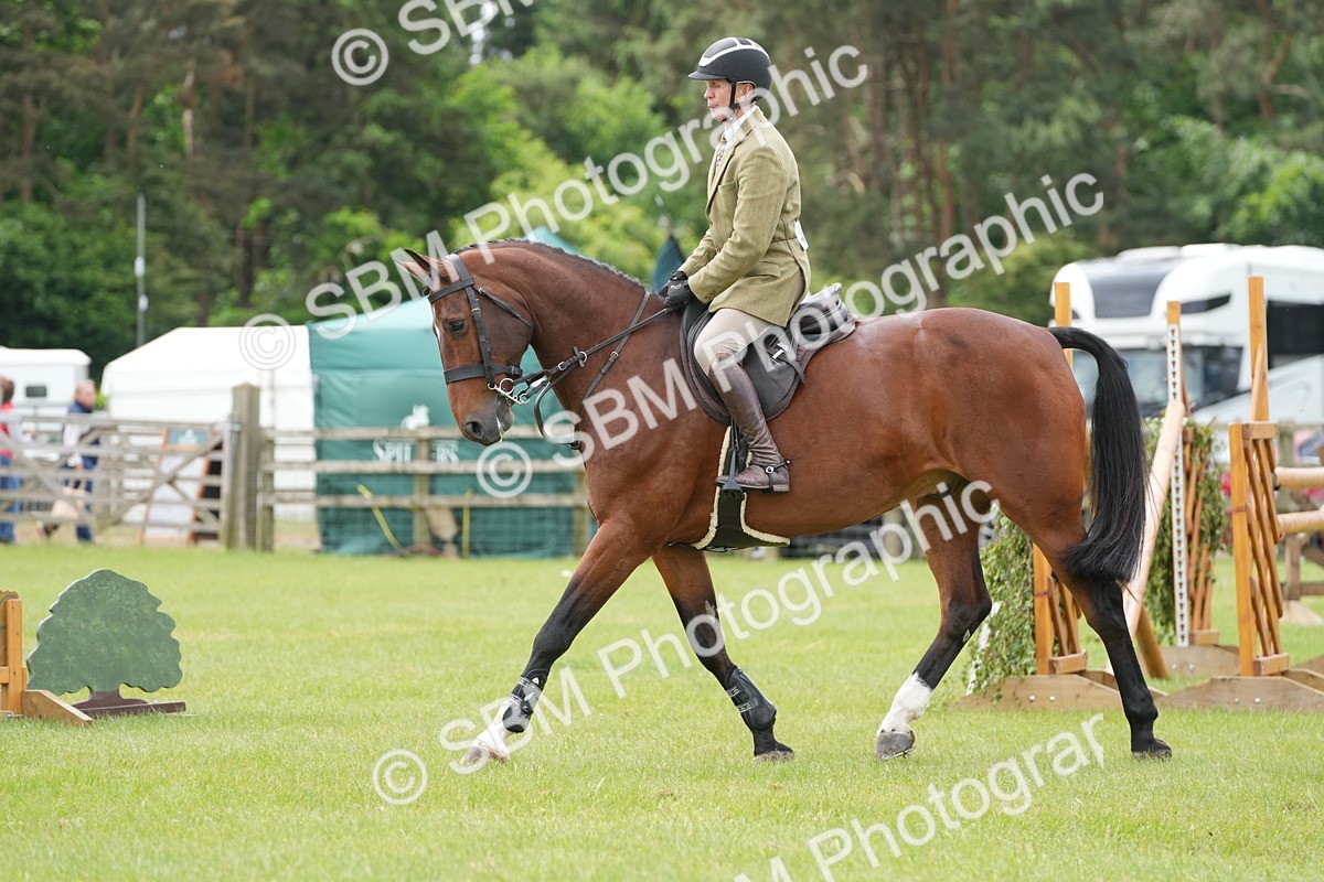 SBM_14926 - Class 100-102 - RIHS Working Hunter