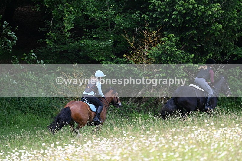 WJ7_8585 - Group 1 10am