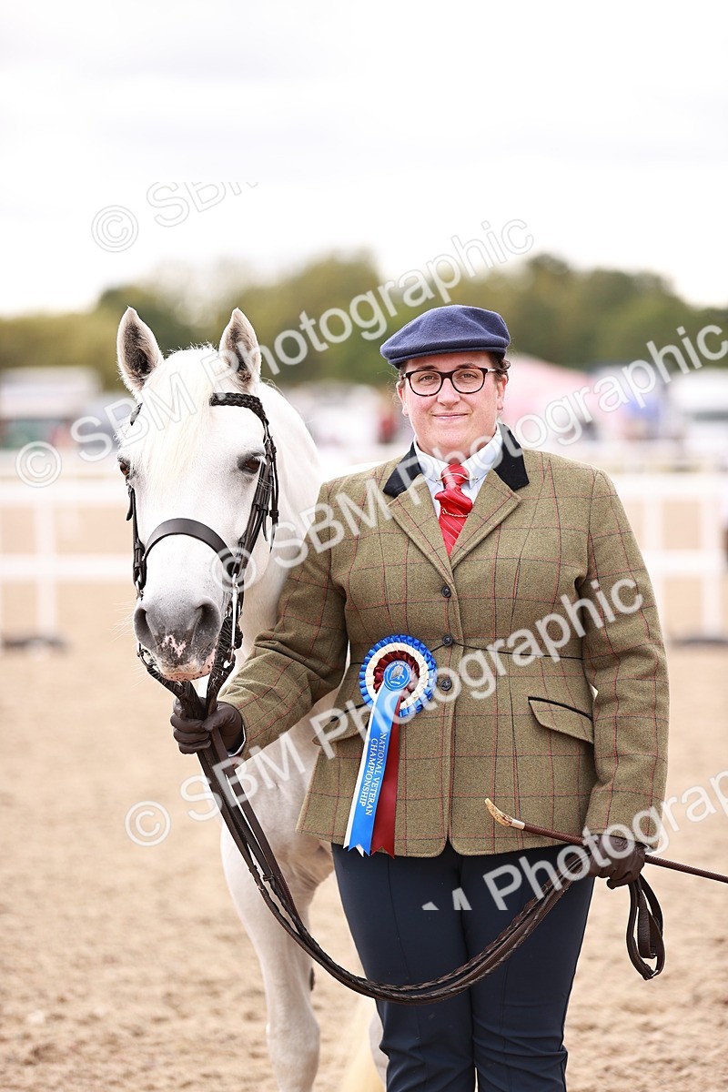 SBM_16144 - Class 411 - Prettiest Mare - (IH or Ridden Adult)