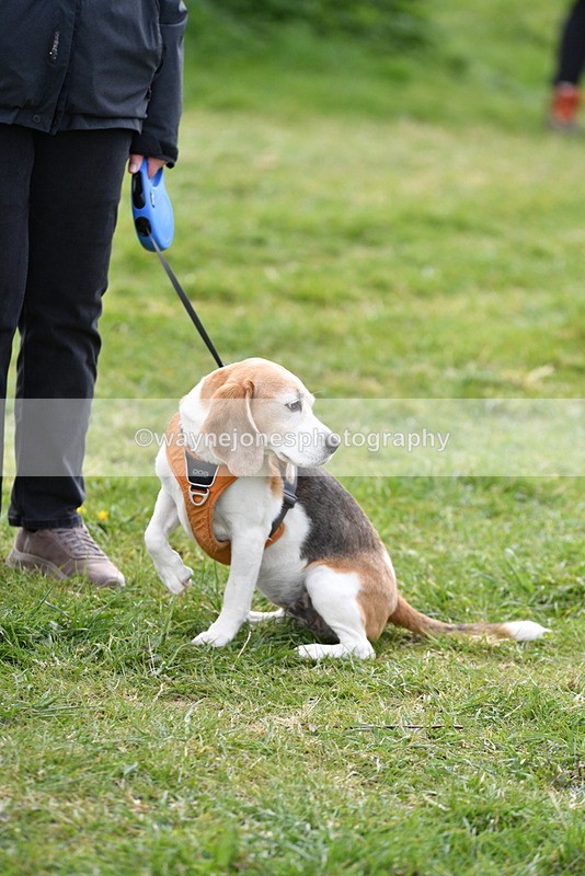 WJ5_0180 - Class 5 Best Veteran / 7 years & over