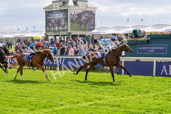 150525-Pride Of Arras-4705 - Race 4 3.45pm Al Basti Equiworld Dubai Dante Stakes