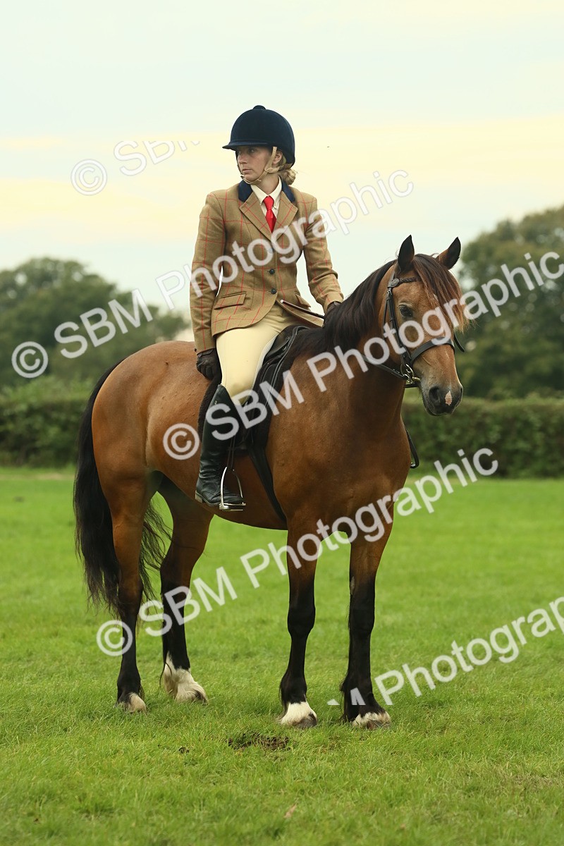 SBM_72247 - S60 - Mountain & Moorland Ridden Large Breeds