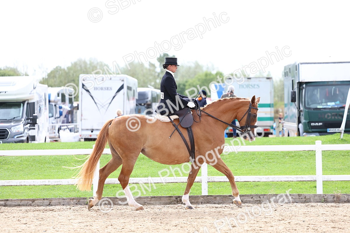 SBM_03383 - Class 24 - SSA Concours d'elegance (any age)