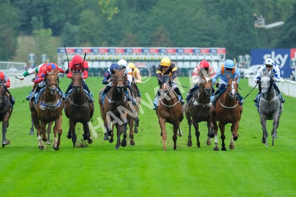 080925-Race 2-Alzahir-7781 - Race 2 3.00pm Sky Bet Super Sub Sprint Handicap