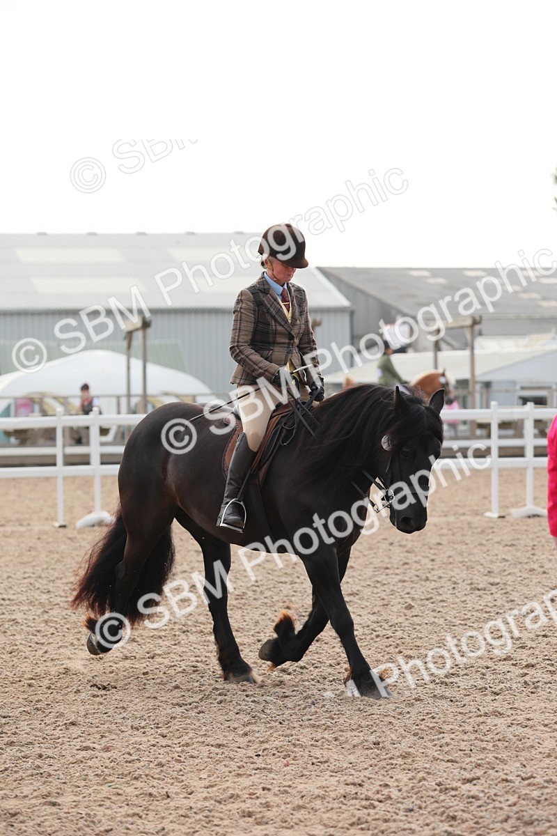 SBM_10055 - Class 302 Ridden M&M -Large Breeds