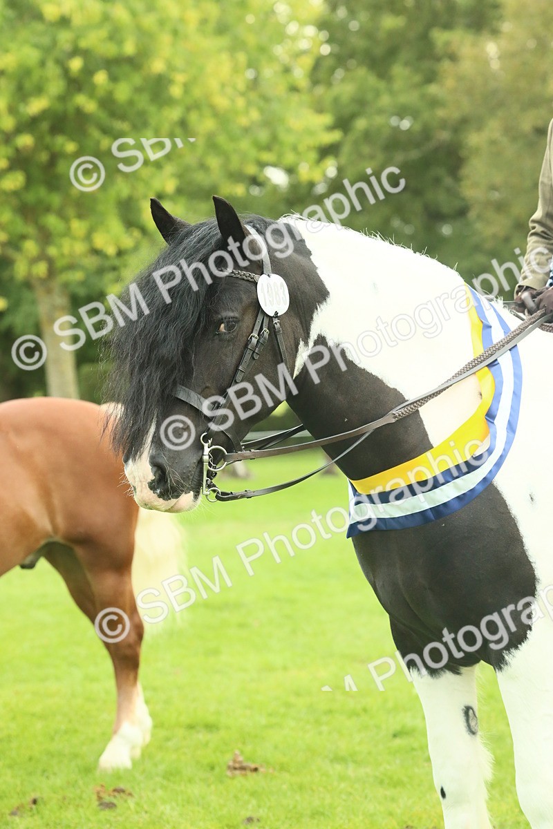 SBM_75219 - Super Supreme Championship