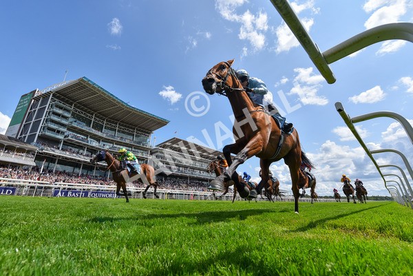 140625-Race 2-My Dream World-4591 - Race 2 2.25pm Queen Mother's Cup Handicap