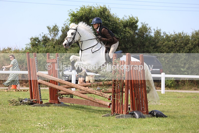 JPP_3716 - Class 23: Working Hunter 80cm