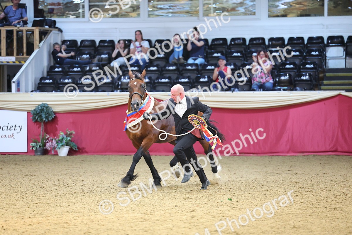 SBM_25029 - Grand Supreme Final Overall Champion