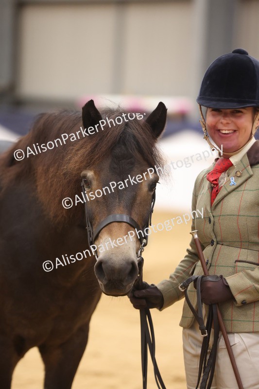 20260913-1143 - Class 110 - Bred In Other In Hand