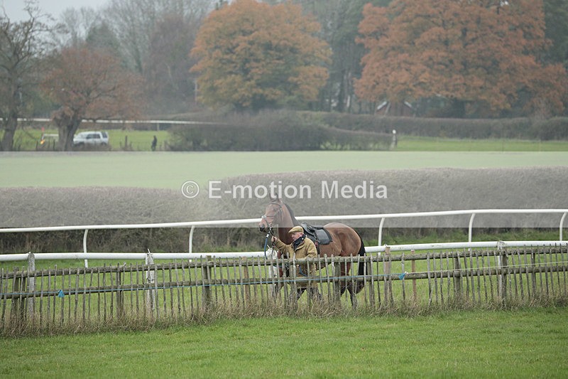PtP 041222 0141 - Wheatland  Hunt PtP Chaddesley Corbett, Worcs 04/12/22