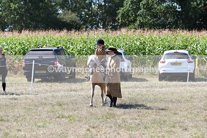 WJ6_8054 - Class 36 Lead Rein