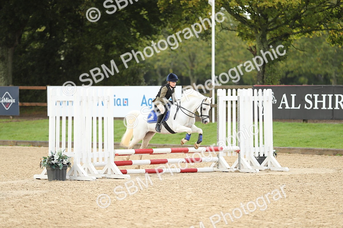 SBM_34195 - J60 Clear Round 50cm