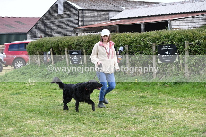 WJ5_0072 - Class 5 Best Veteran / 7 years & over