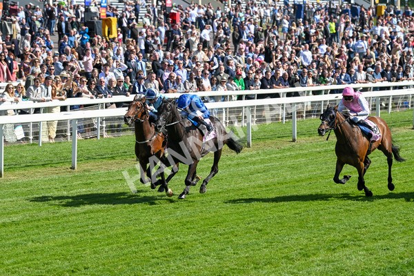 160525-Race 4-Rebels Romance-6695 - Race 4 3.45pm Boodles Yorkshire Cup Stakes