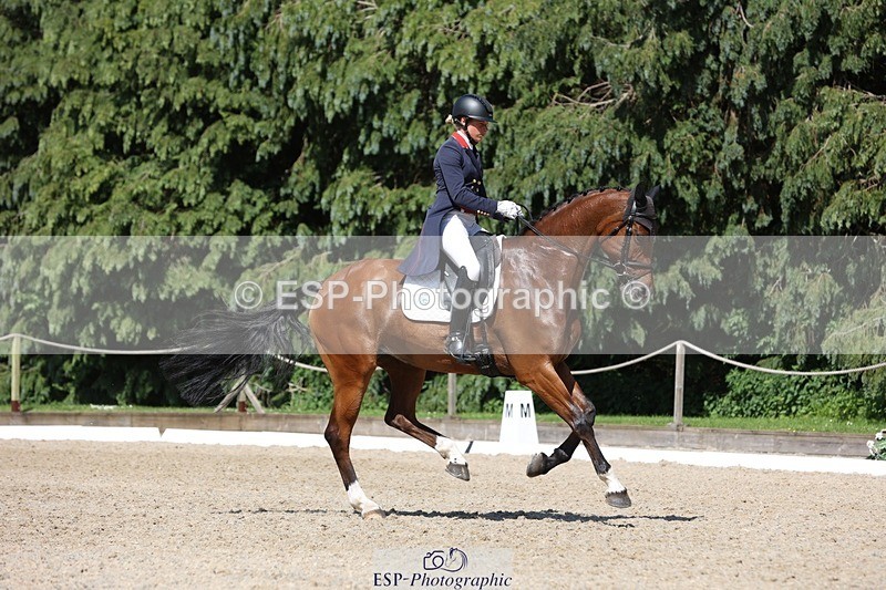 230526-152848-06710 - 381-CAROLINES_AIR_KM-Izzy_Taylor-WEDTrotUp+DR