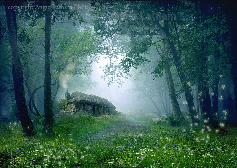 The Cottage in the Woods - Mystery & Moonlight