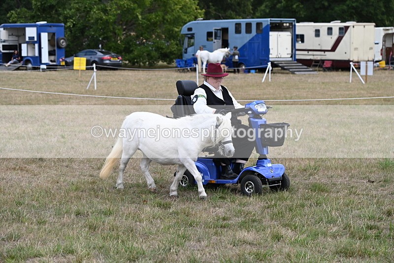 WJ6_6005 - Class 19 In-hand Veterans (Uploaded correct folder)