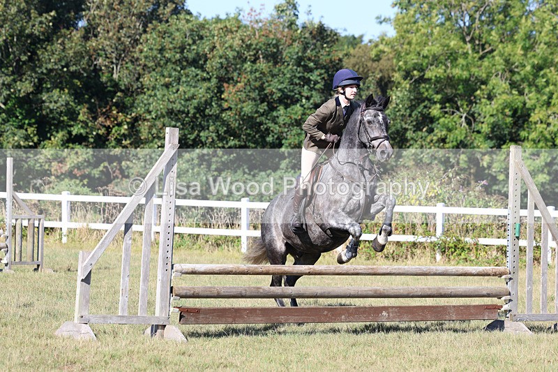 3E7A5508 - Class 3: Working Hunter 70cm