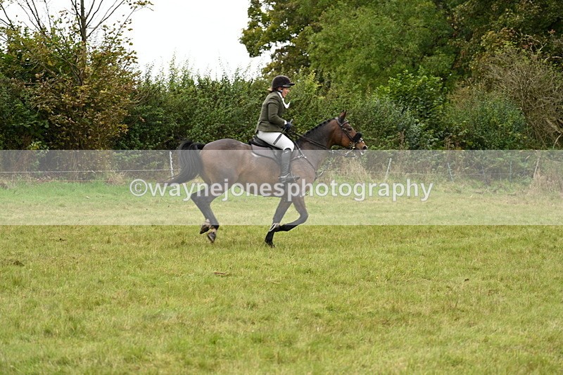 WJ7_4283 - Camera 1 Line 2