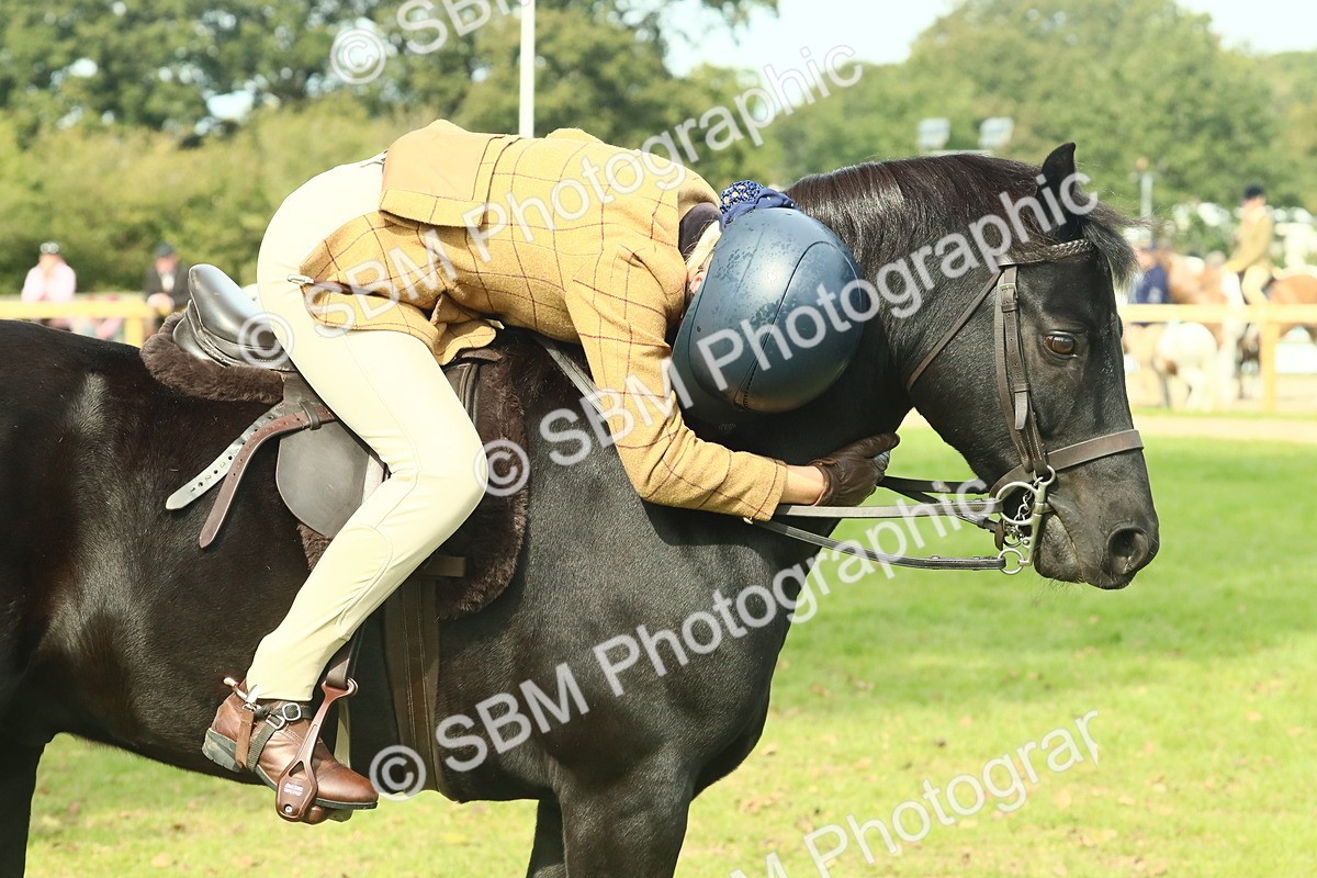 SBM_66724 - S34 - Rehabilitated Rescue Horse & Pony In Hand & Ridden