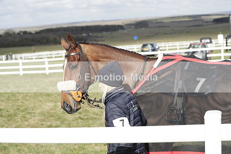 PtP 260223 241 - South & West Wilts Point-to-Point Larkhill 26/02/23
