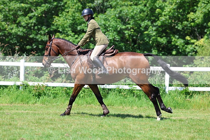 3E7A7104 - Class 30: Novice Working Hunter