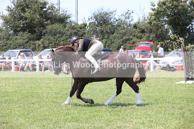 JPP_2413 - Class 21: Working Hunter 60cm