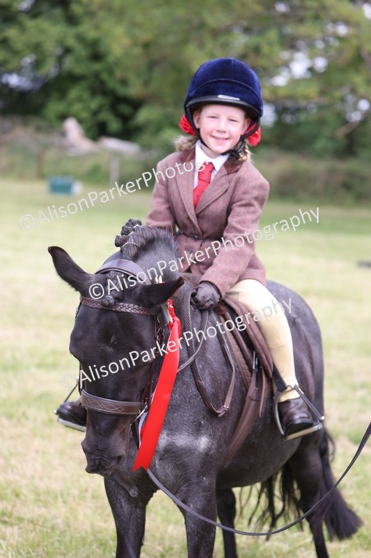 20260614-0822 - Class 20 - Beginners Working Hunter Pony