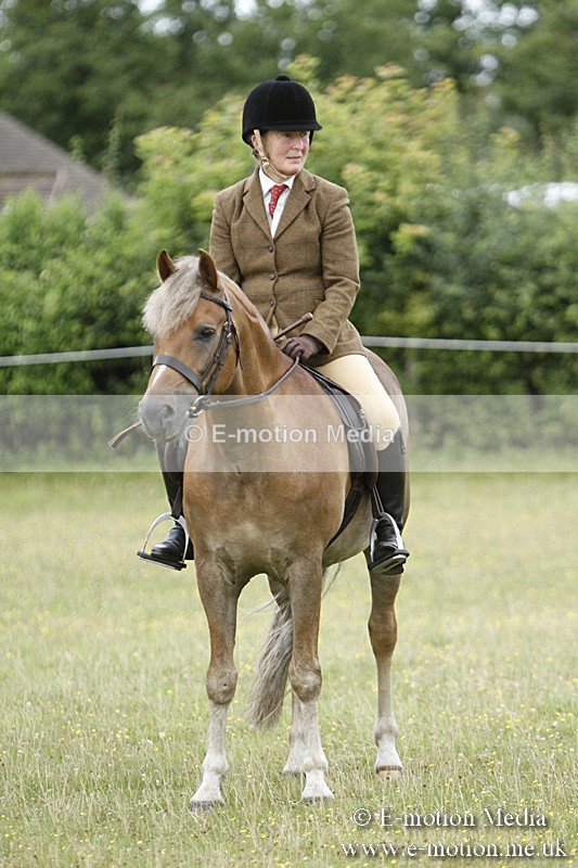 BVR160717-427 - Ring 3 BVRC Show 16/07/17