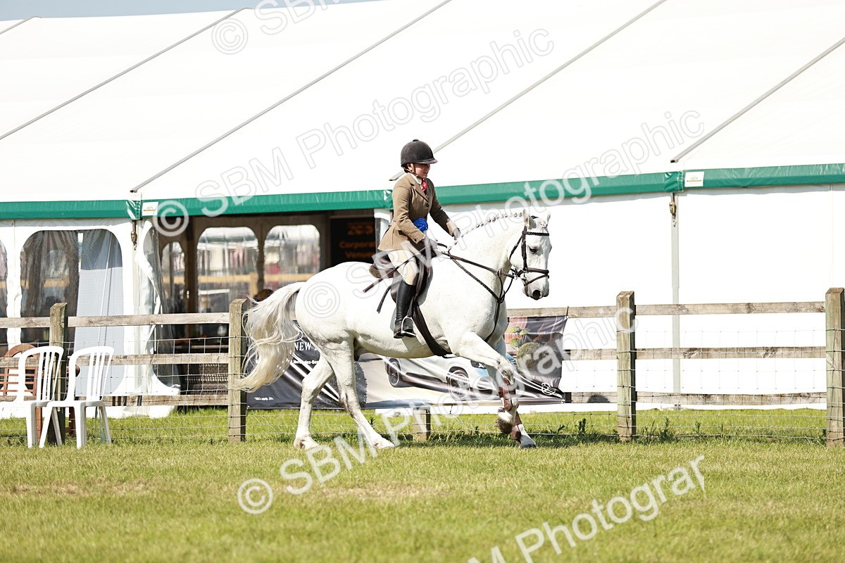 SBM_18529 - Class 112-113 - BSPS LIHS Working Sports Pony