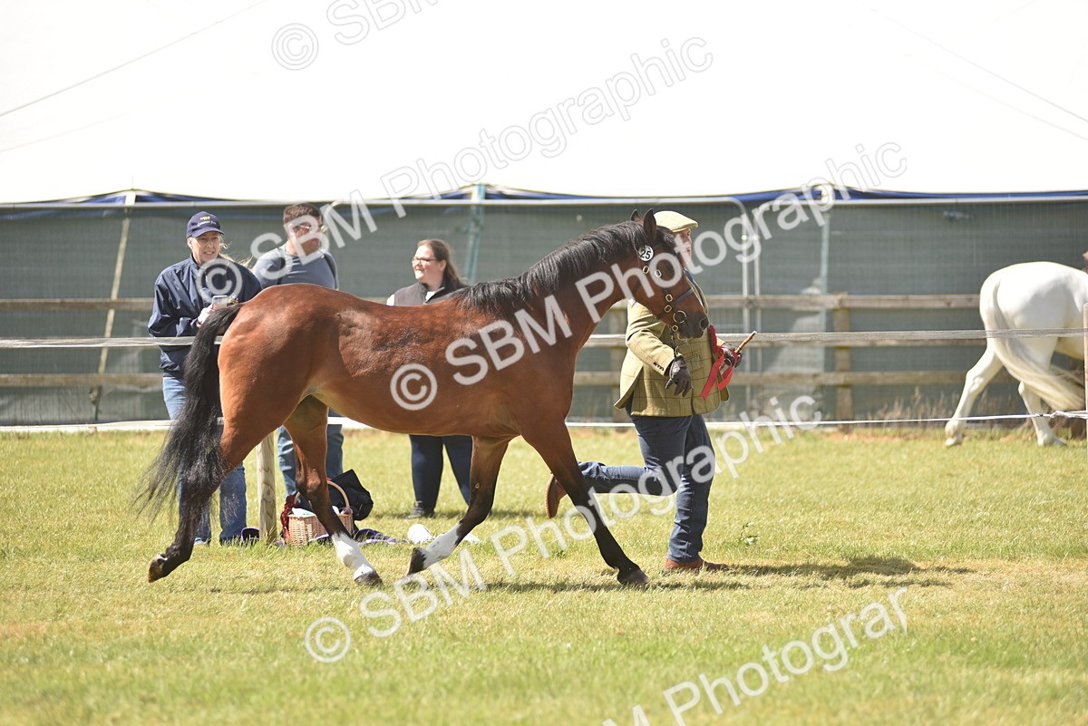 SBM_16116 - Class 117-122 - SSADL RIHS Qualifier