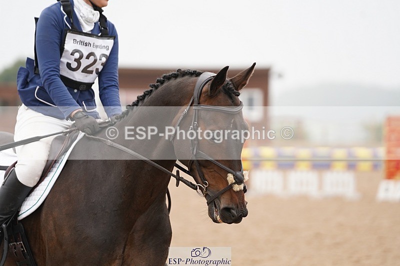 240901A-121108-06820 - 323-Bethany.Hull-CARRICK.DIAMOND.OLIVER