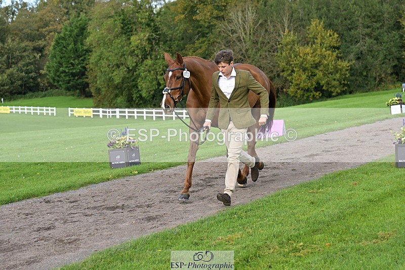 241023-132450-00272 - 017-Louis.Pern-CLASSICTOP.MISS.VIVIENNE