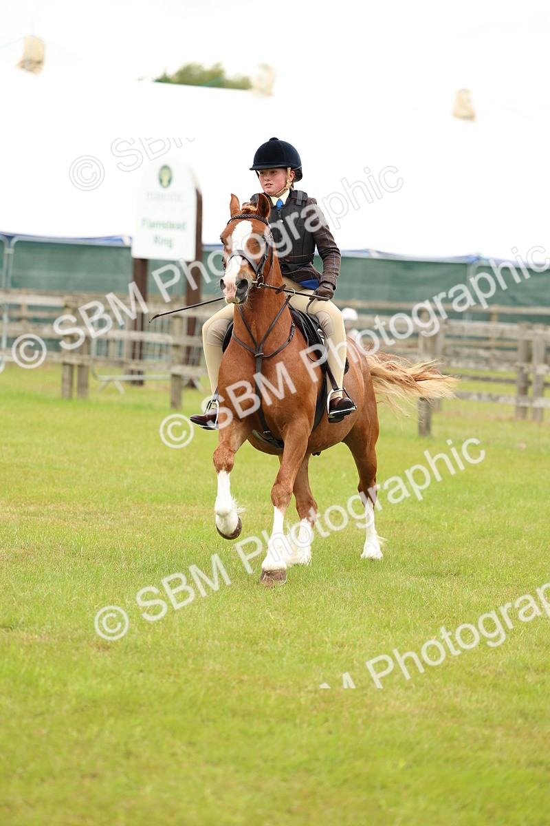 SBM_10347 - Class 44-45 - LIHS BSPS Open Nursery and Cradle Stakes