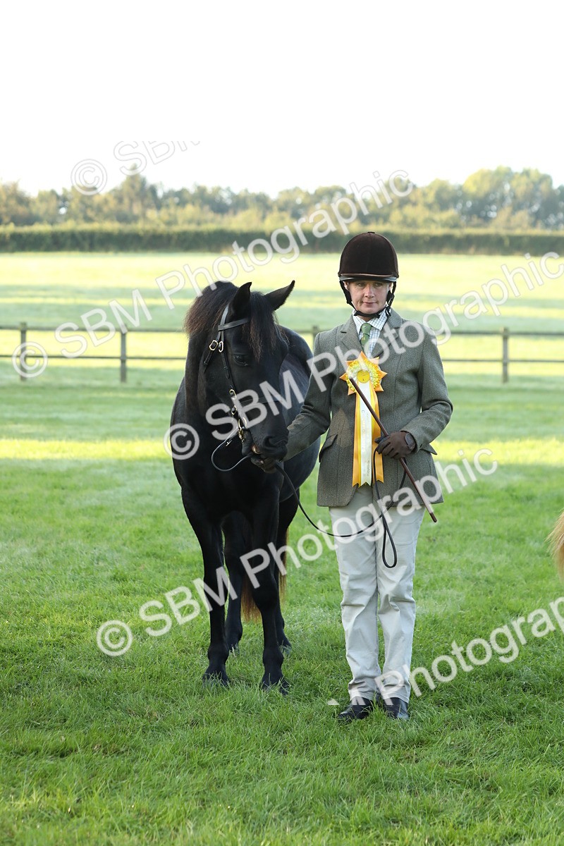 SBM_57875 - S42 - Youngstock