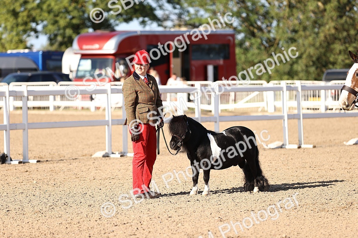 SBM_08462 - Class 402 - IH Veteran Pony