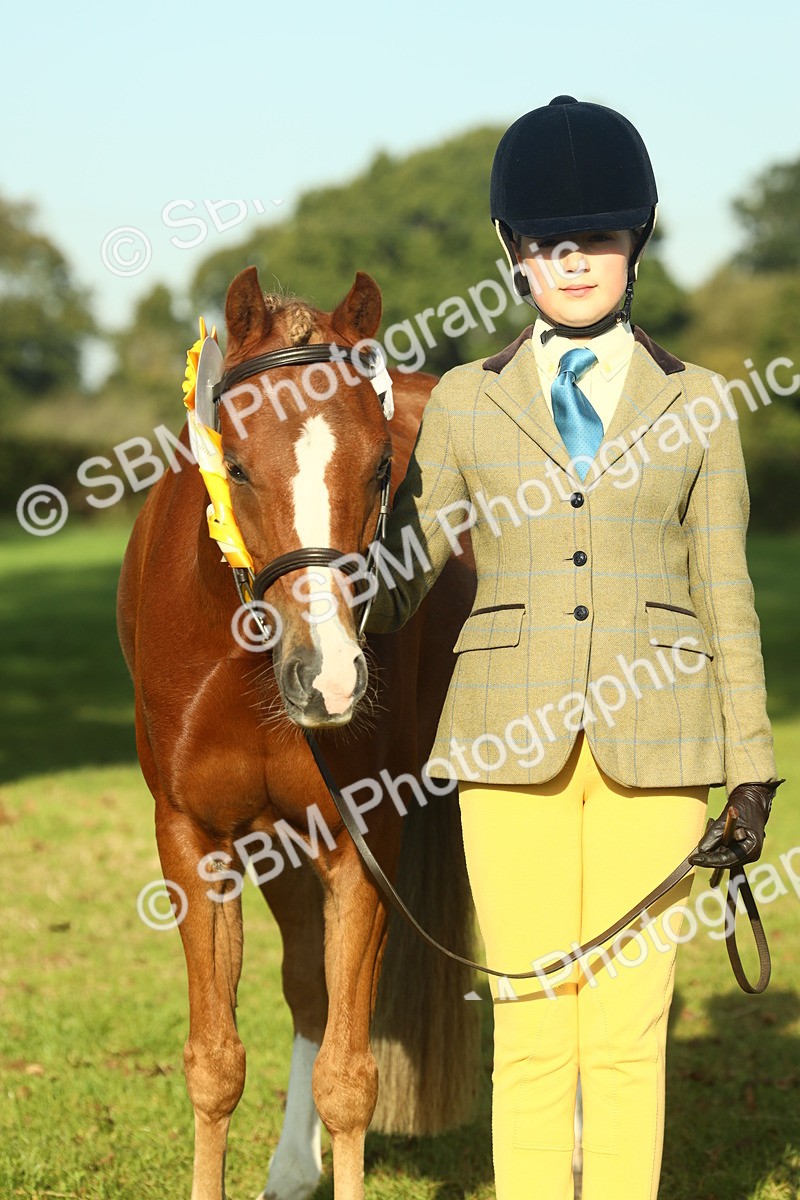 SBM_58494 - S37 - Starters In Hand Showing