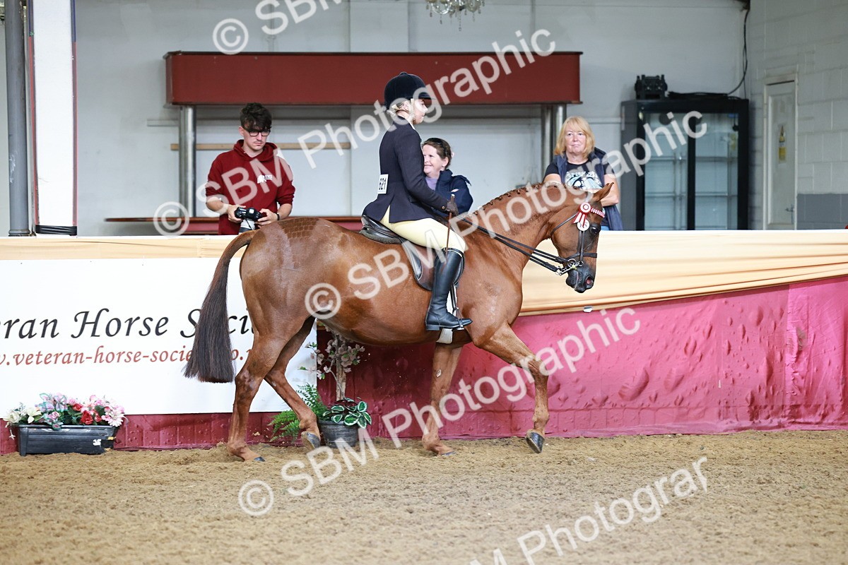 SBM_11794 - Class 102 - Equitation (Best Rider) Adult