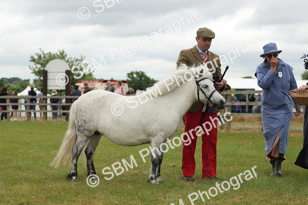 SBM_05091 - Class 50-57 - M&M Welsh Pony In Hand