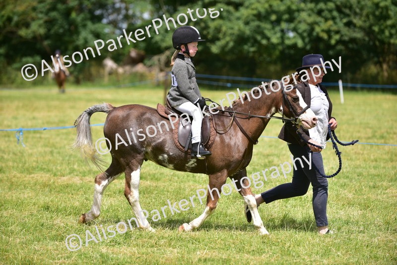 20260614-1362 - Class 11b - Lead Rein Pony (Plaited)
