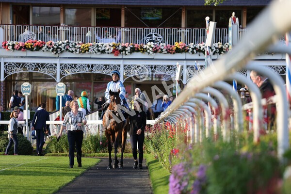 yr08102021r6-21 - Race 6 4.55pm Frank Whittle Partnership British EBF Restricted Novice Stakes