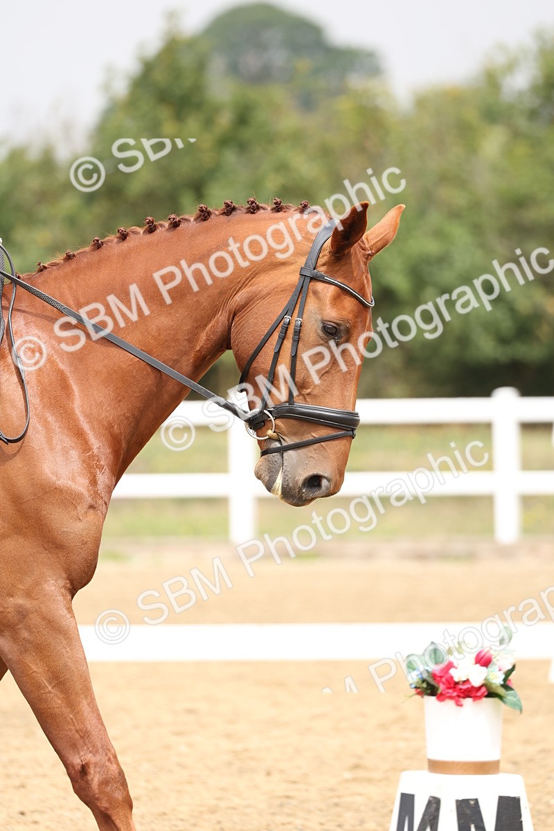 SBM_006311 - Class 6 - novice 6 - 11.50-12.46