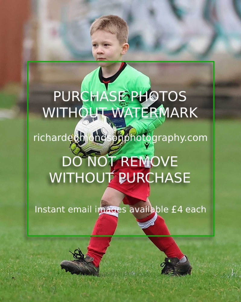 533A0786 - Ibis Under 7's (28/2/26)