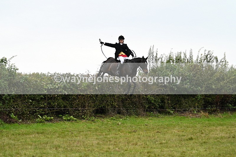 WJ7_4120 - Camera 1 Line 2