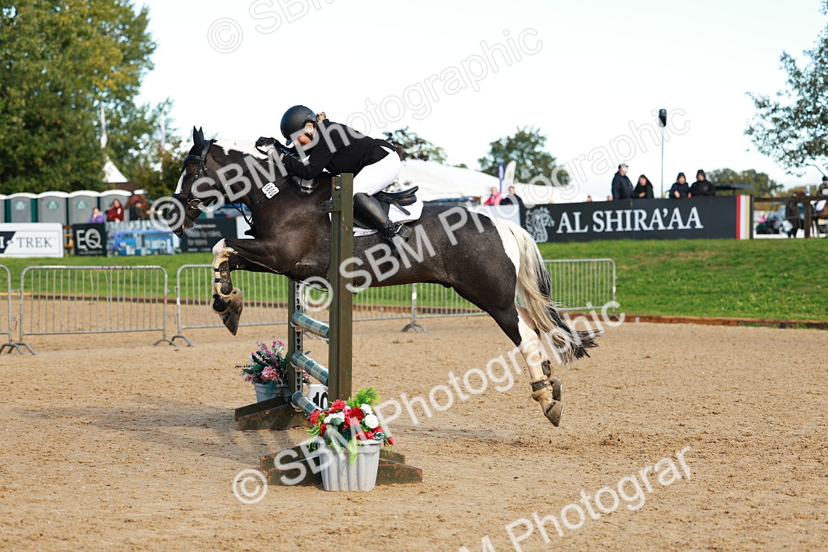 SBM_37821 - J39 - Senior Horse & Pony 85cm Championship