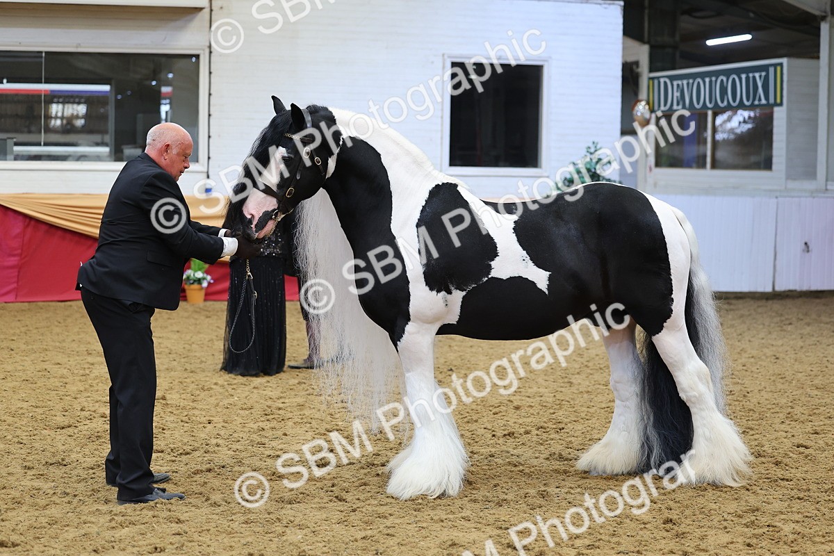 SBM_22725 - Class 903 - Supreme Final - IH Pre Vet